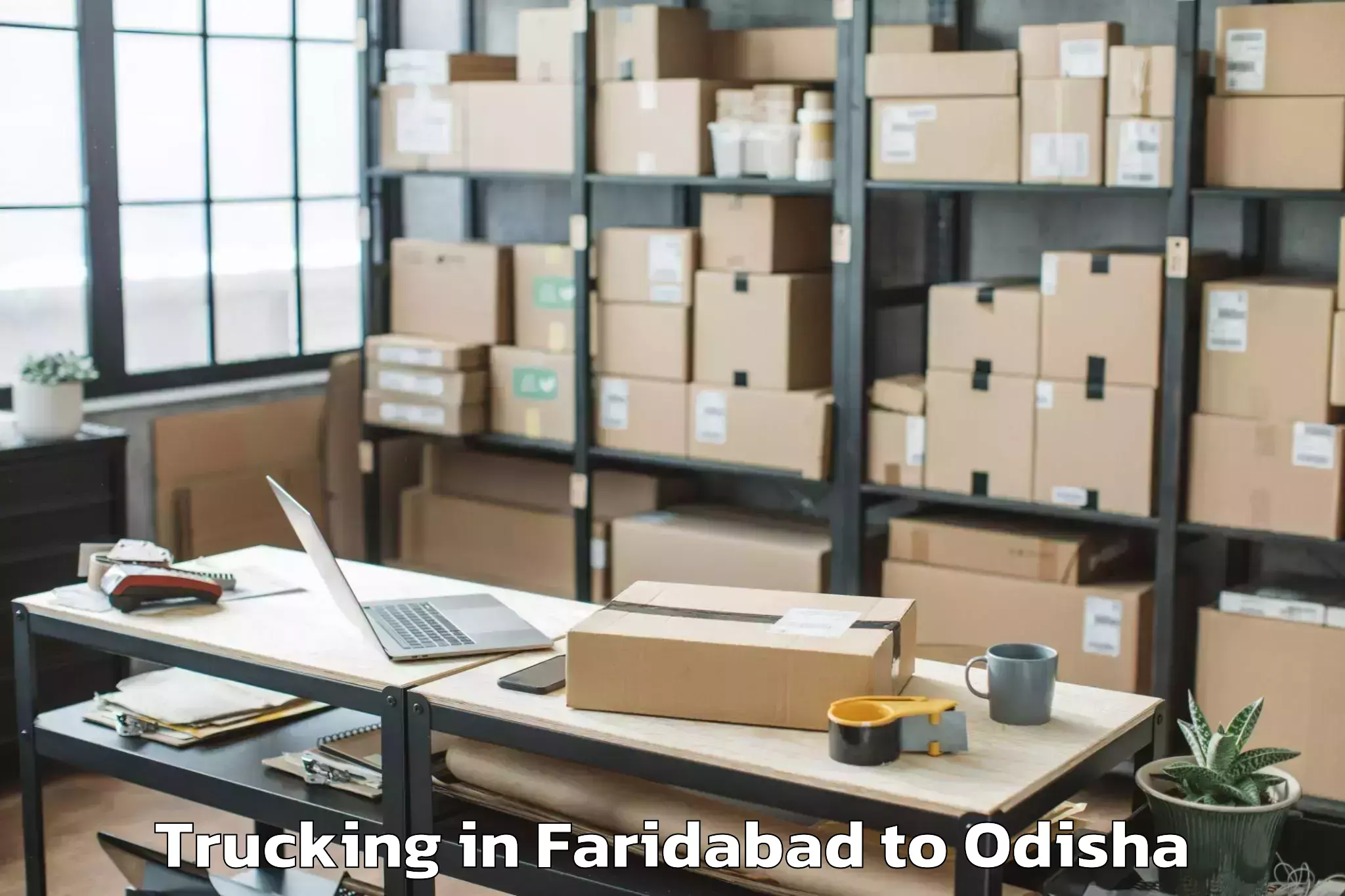 Book Faridabad to Rajkanika Trucking